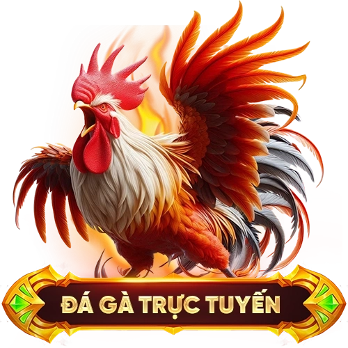 đá gà trực tuyến 84WIN